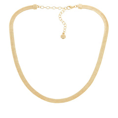 Baublebar Goldtone Herringbone Adjustable Necklace 16" (HSN $20)