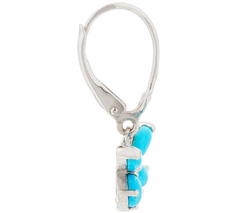 QVC Turquoise or Ethiopian Opal Butterfly Earrings, Sterling Silver